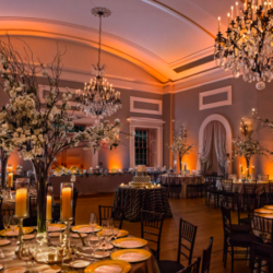 Wedding venue in Philadelphia. A large room decorate with white flowers
