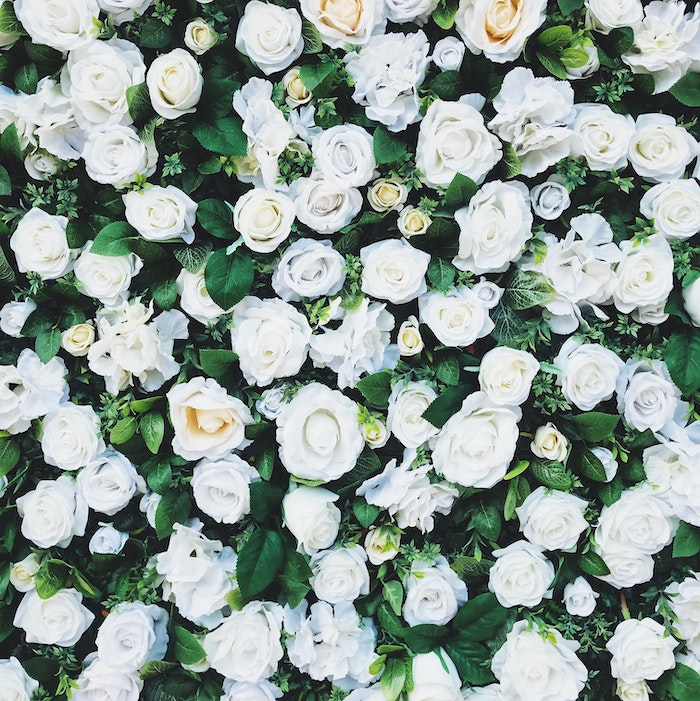 white-roses-wedding-photographers-philadelphia